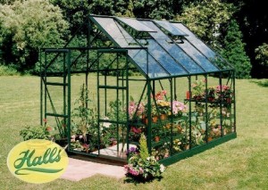 GREEN MAGNUM 10ft x 8ft GREENHOUSE HORTI